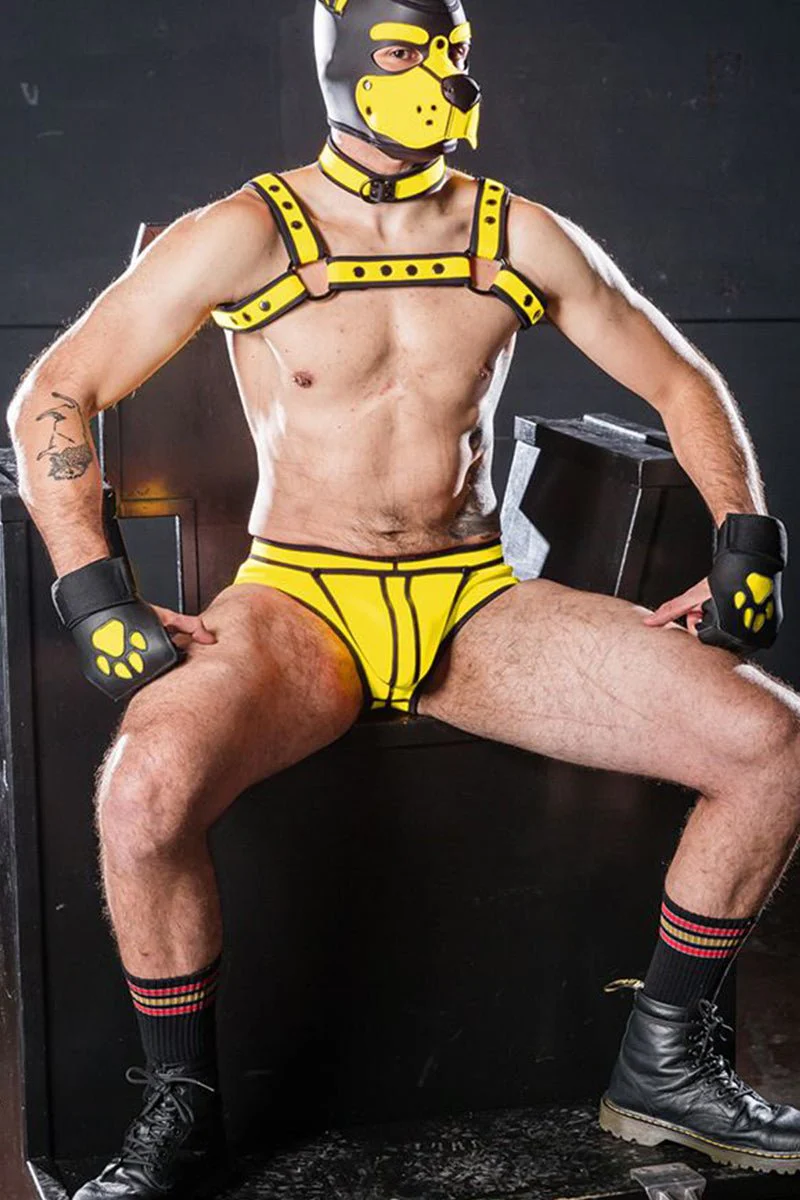 Mr S Leather Open Paw Puppy Gloves Black Yellow - Image 5